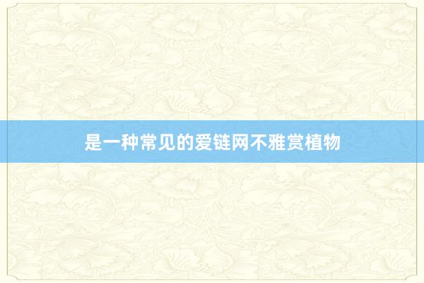 是一种常见的爱链网不雅赏植物