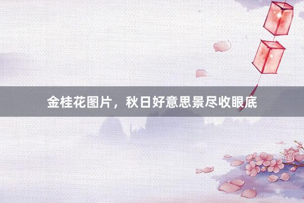 金桂花图片，秋日好意思景尽收眼底
