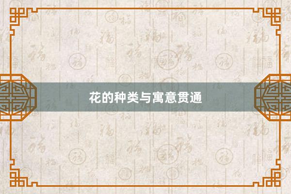 花的种类与寓意贯通