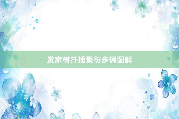 发家树扦插繁衍步调图解